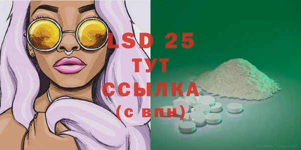гашик Горнозаводск