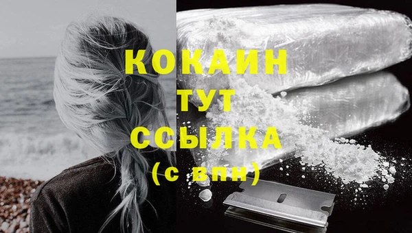 спайс Горняк