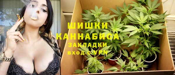 гашик Горно-Алтайск
