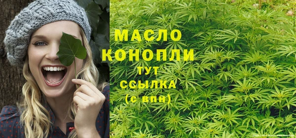 гашик Горнозаводск