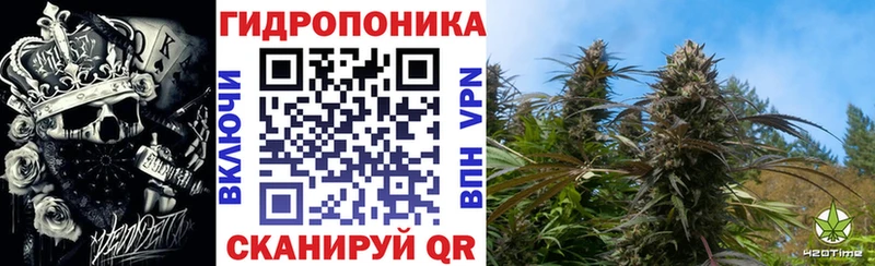 Бошки Шишки план  цена   Няндома 